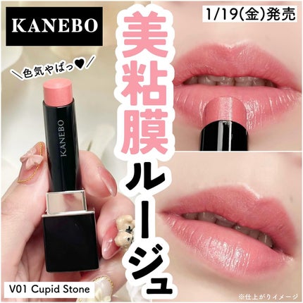 ルージュスターヴァイブラント/KANEBO/口紅を使ったクチコミ(1枚目)
