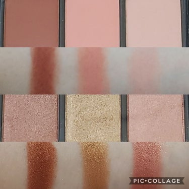 Theory Palette/VISEART/パウダーアイシャドウを使ったクチコミ（2枚目）