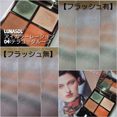 アイカラーレーション 04 Terracotta Roof（販売終了）/LUNASOL/アイシャドウパレットを使ったクチコミ（3枚目）