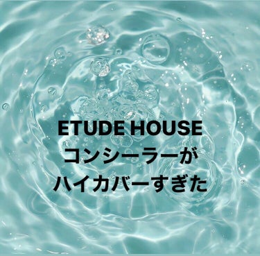 ビッグカバーフィットコンシーラー ニュートラルピーチ/ETUDE/コンシーラーを使ったクチコミ（1枚目）