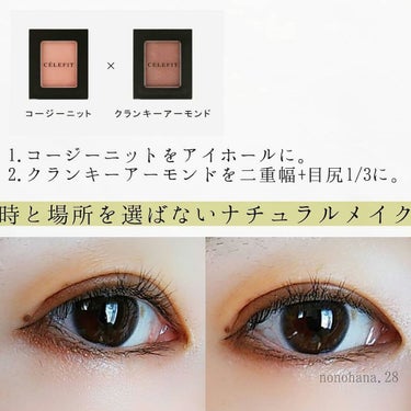 Eyes Fit Daily Shadow/CELEFIT/パウダーアイシャドウを使ったクチコミ（3枚目）