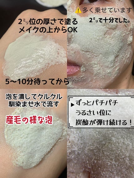 カナディアンクレイ ポア クレンザー/NEOGEN/洗い流すパック・マスクを使ったクチコミ(3枚目)