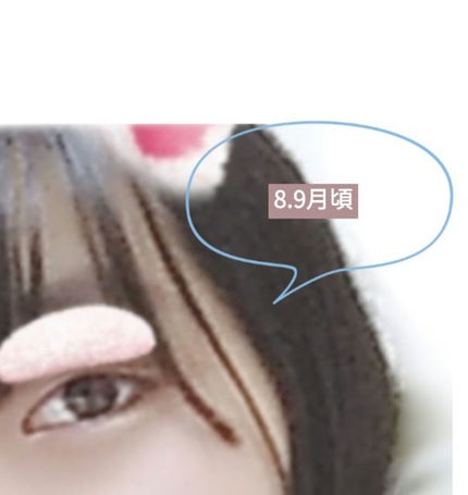 を使ったクチコミ(2枚目)