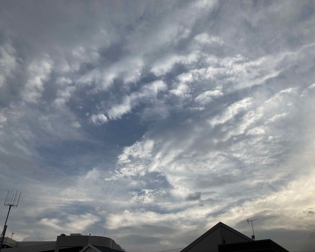 ガミラシークレット ラベンダー/ガミラシークレット/ボディ石鹸を使ったクチコミ（1枚目）