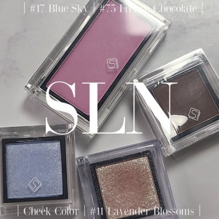 eyeshadow/SLN/単色アイシャドウを使ったクチコミ(1枚目)