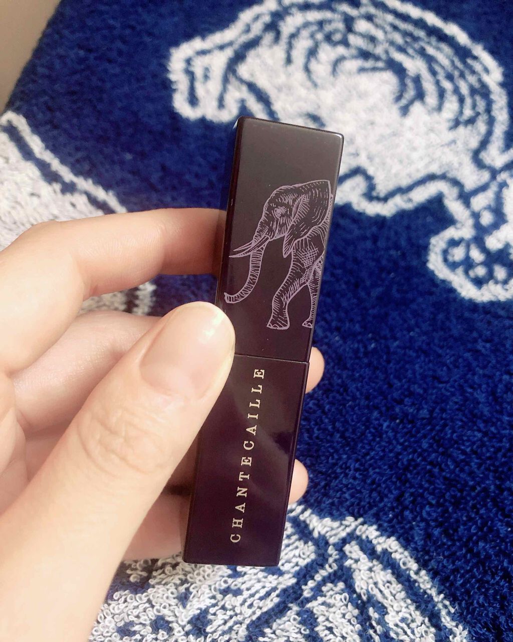 ツリー オブ ライフ リップ ヴェール/シャンテカイユ/口紅を使ったクチコミ(3枚目)