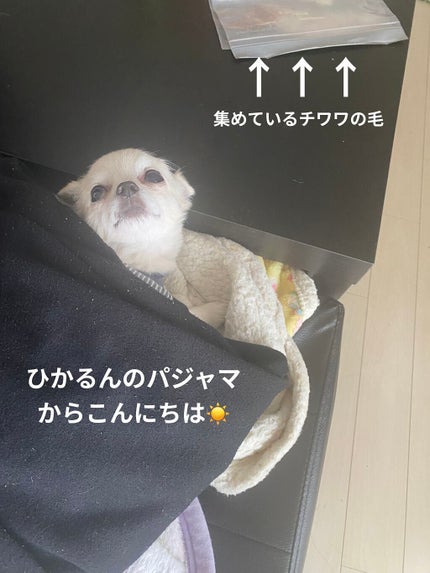 ローシャンプー/SABON/市販シャンプーを使ったクチコミ(9枚目)