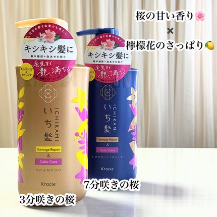 ダメージリペア&カラーケア シャンプー/コンディショナー/いち髪/市販シャンプーを使ったクチコミ(9枚目)