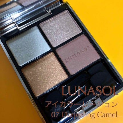 アイカラーレーション/LUNASOL/アイシャドウパレットを使ったクチコミ(1枚目)