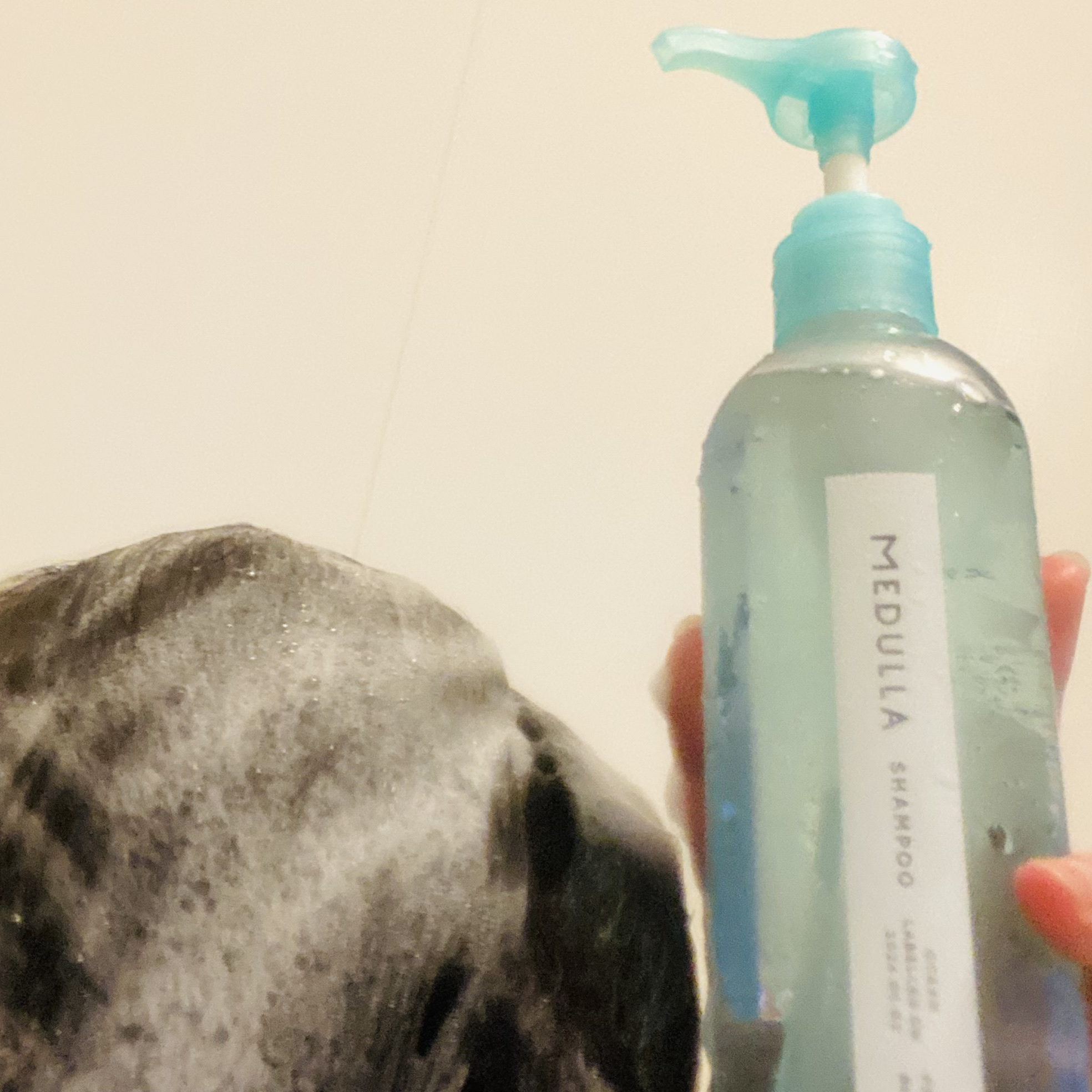 SHAMPOO & REPAIR/MEDULLA/市販シャンプーを使ったクチコミ（3枚目）