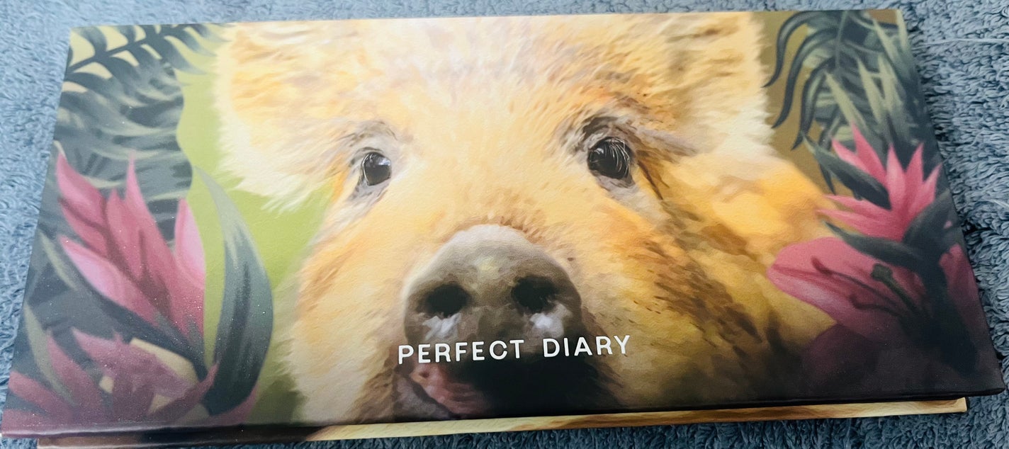 エクスプローラ12色 動物アイシャドウパレット/PERFECT DIARY/アイシャドウパレットを使ったクチコミ(3枚目)