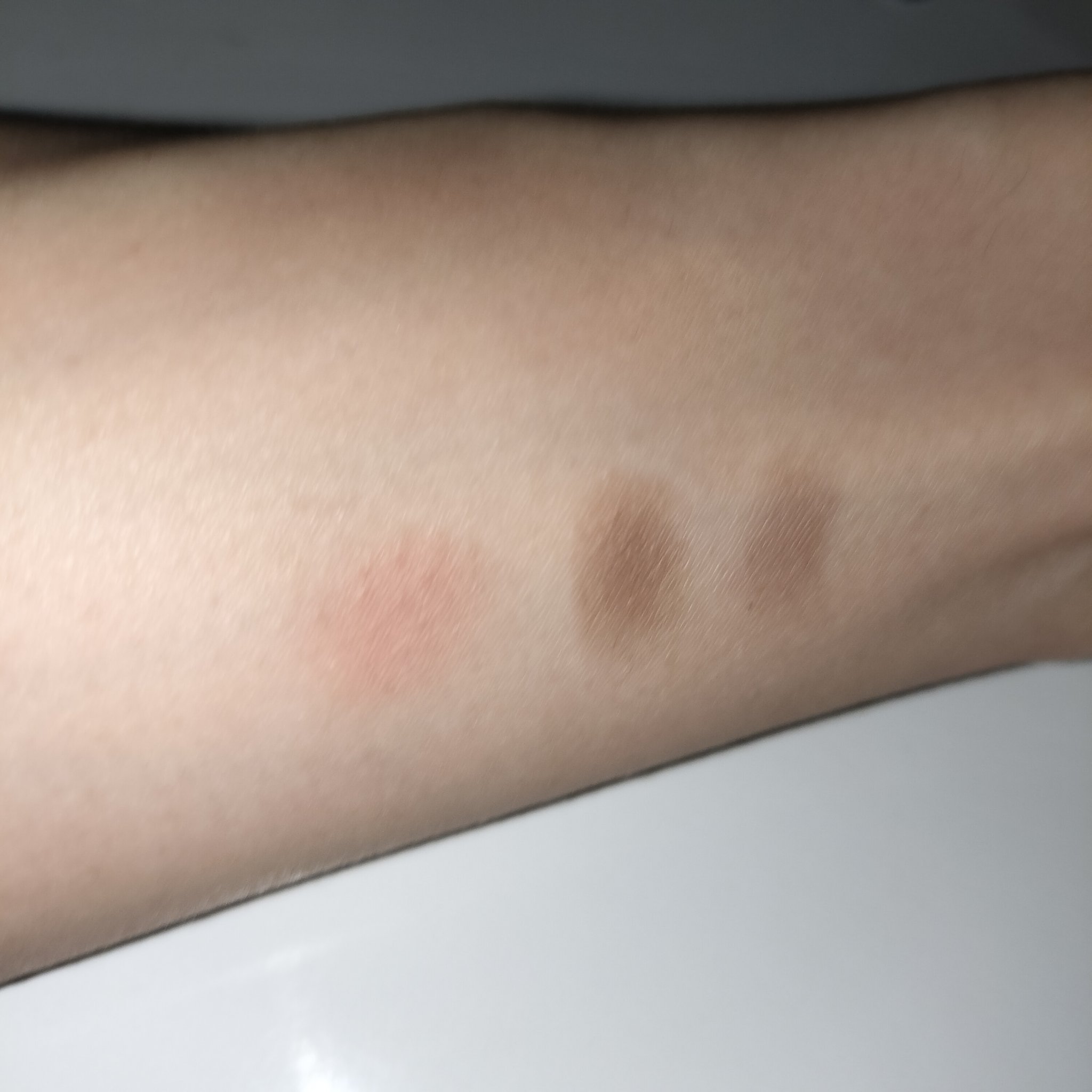 パーフェクトマルチアイズ/キャンメイク/アイシャドウパレットを使ったクチコミ（3枚目）