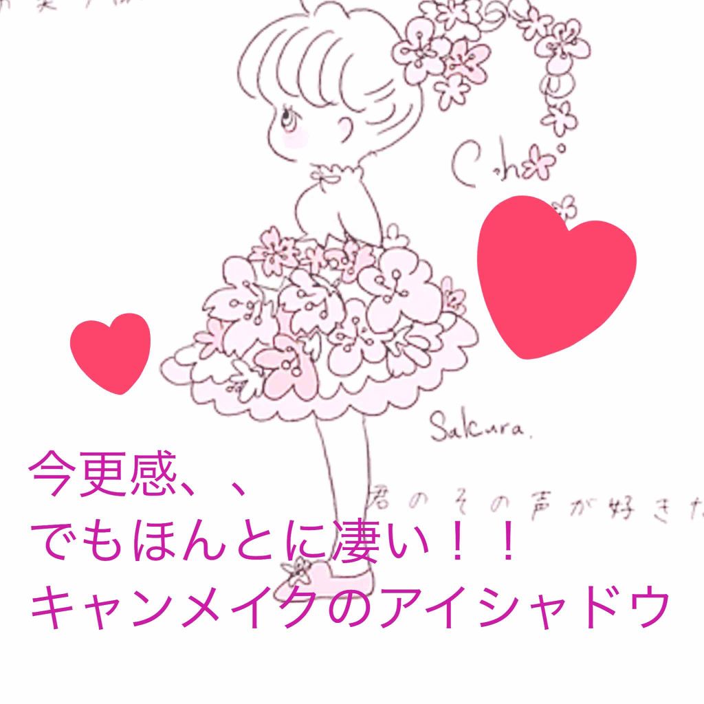 【旧品】パーフェクトスタイリストアイズ/キャンメイク/アイシャドウパレットを使ったクチコミ(1枚目)