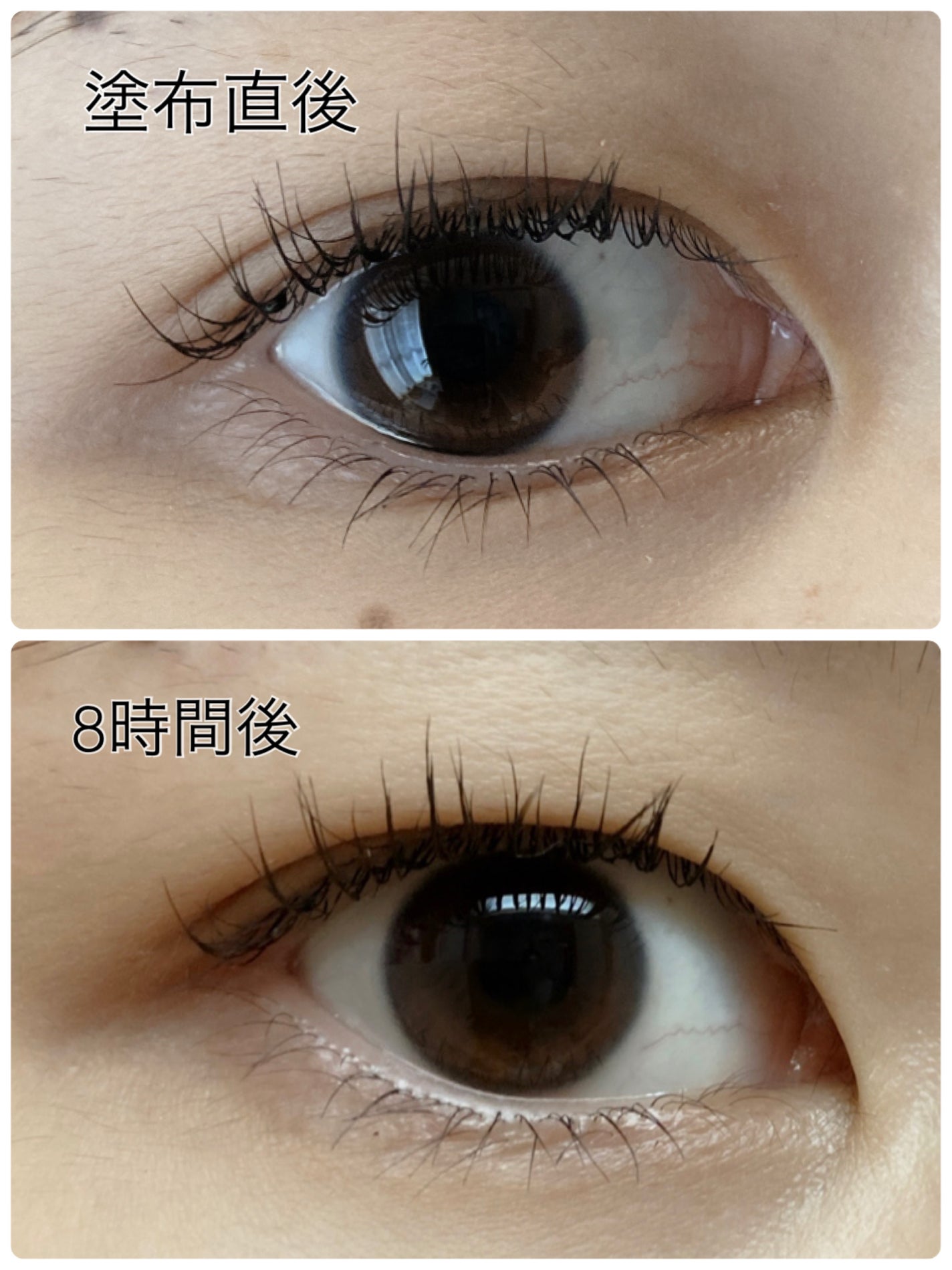 ラッシュニスタ プライマー/MAYBELLINE NEW YORK/マスカラ下地を使ったクチコミ(3枚目)