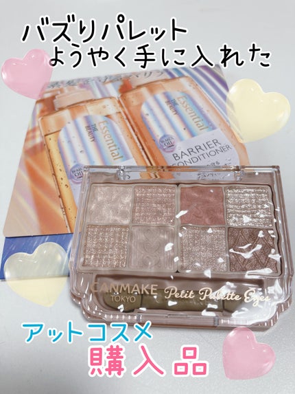 プティパレットアイズ/キャンメイク/パウダーアイシャドウを使ったクチコミ(1枚目)