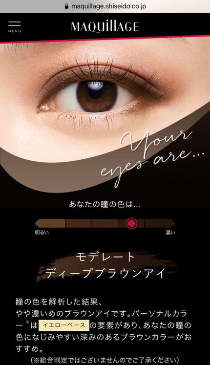 ドラマティックスタイリングアイズ/マキアージュ/アイシャドウパレットを使ったクチコミ(9枚目)