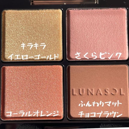 アイカラーレーション/LUNASOL/アイシャドウパレットを使ったクチコミ(3枚目)