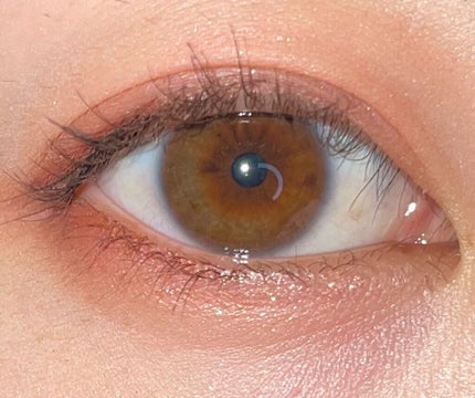 シャドウパレット/dasique/アイシャドウパレットを使ったクチコミ(5枚目)