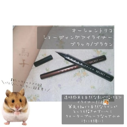 シェーディングアイライナー/OCEAN TRICO/リキッドアイライナーを使ったクチコミ(1枚目)