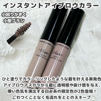 ヴィセ リシェ アイブロウパウダー/Visée/パウダーアイブロウを使ったクチコミ(4枚目)