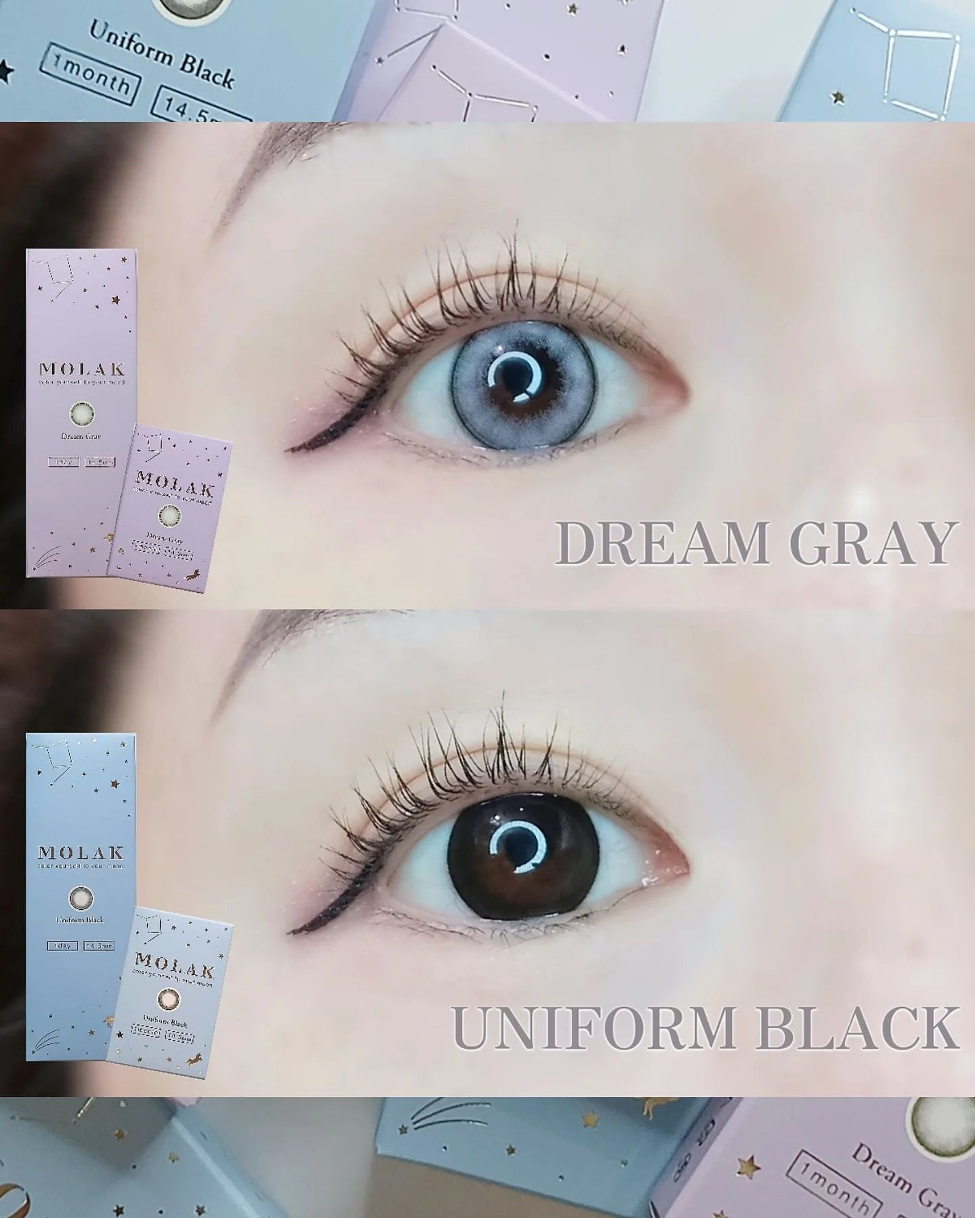 MOLAK 1day/MOLAK/ワンデー(1DAY)カラコンを使ったクチコミ(2枚目)