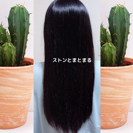 アネツプレミアムヘアエッセンス/ANETSU/ヘアオイルを使ったクチコミ(3枚目)