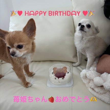 ディオリフィック グリッター トップ コート/Dior/ネイルトップコートを使ったクチコミ(6枚目)