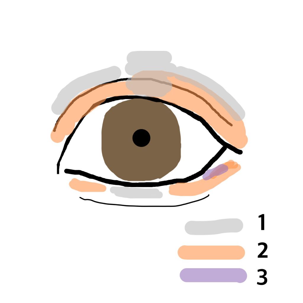 トーンアップアイシャドウ/CEZANNE/アイシャドウパレットを使ったクチコミ（3枚目）