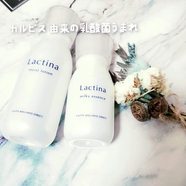 モイストローション/Lactina（ラクティナ）/化粧水を使ったクチコミ（1枚目）