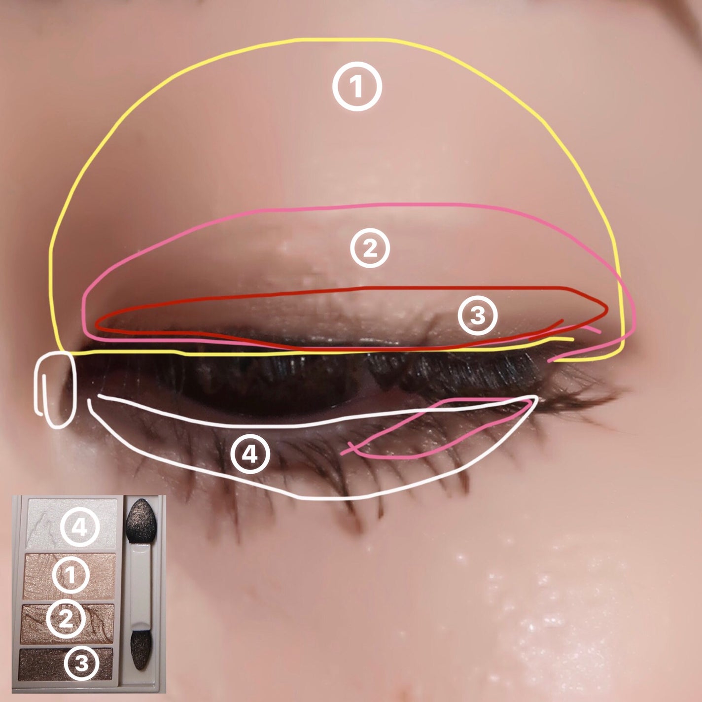 アイブロウ クリエイティブパレット/IPSA/パウダーアイブロウを使ったクチコミ(5枚目)