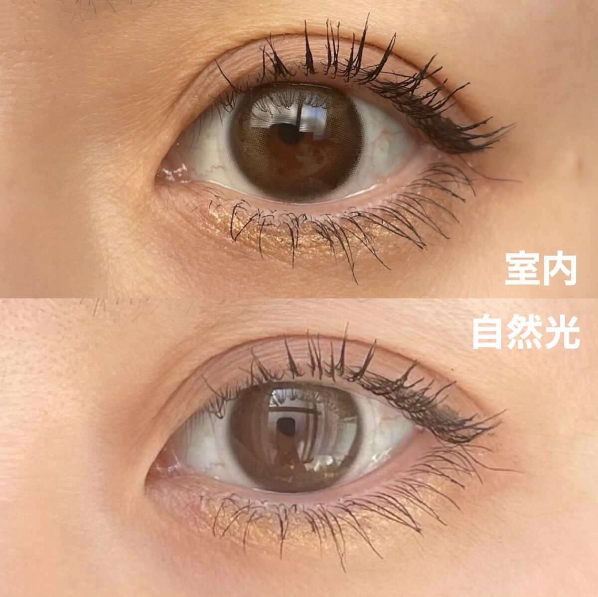 CoCo Chocolate/Sisse Lens/カラーコンタクトレンズを使ったクチコミ(3枚目)