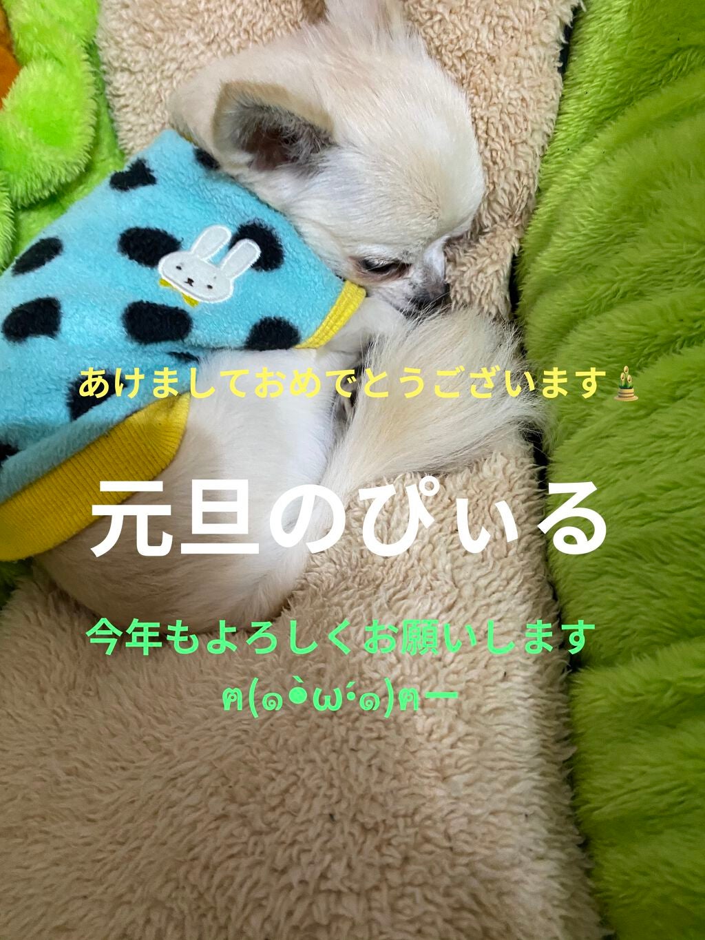 グーダル グリーンタンジェリンビタCセラムマスク/goodal/シートマスク・パックを使ったクチコミ(8枚目)