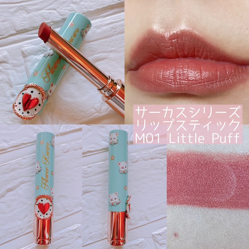 サーカスシリーズ グラデーションブラッシュ /FlowerKnows/パウダーチークを使ったクチコミ(3枚目)