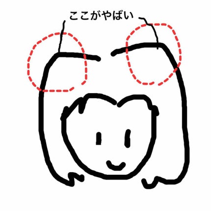 ビッグ/ラッシュ/市販シャンプーを使ったクチコミ(3枚目)