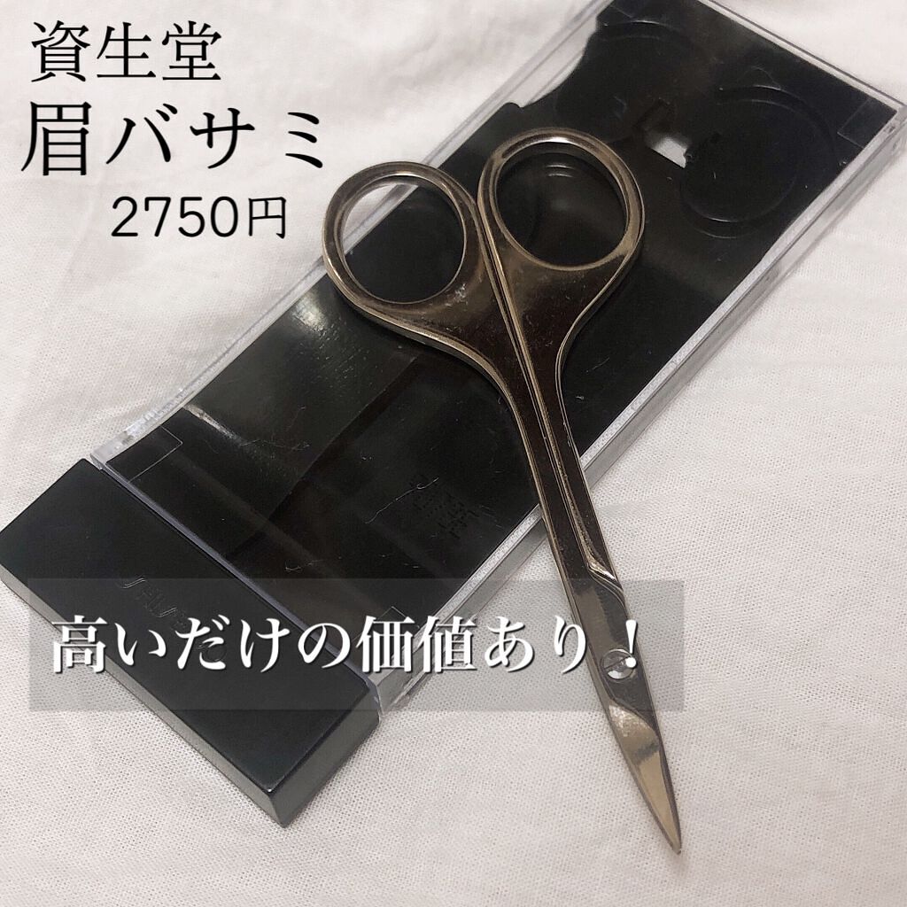 アイブロウシザーズ/SHISEIDO/その他化粧小物を使ったクチコミ(1枚目)