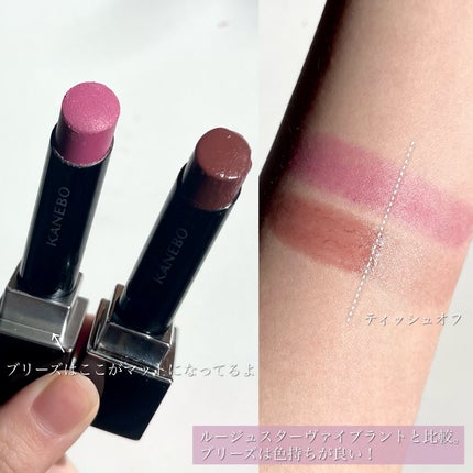 カネボウ ルージュスターブリーズ/KANEBO/口紅を使ったクチコミ(5枚目)