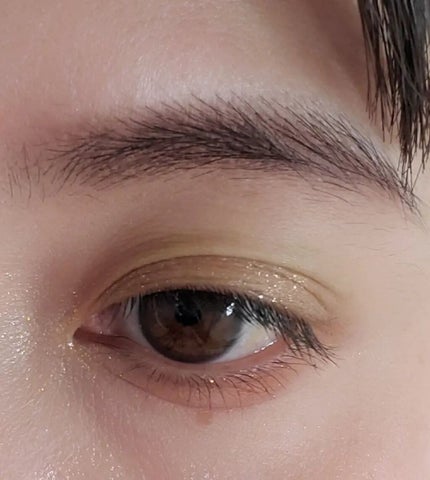 カラーリップスティック/アルジェラン/リップクリームを使ったクチコミ(6枚目)