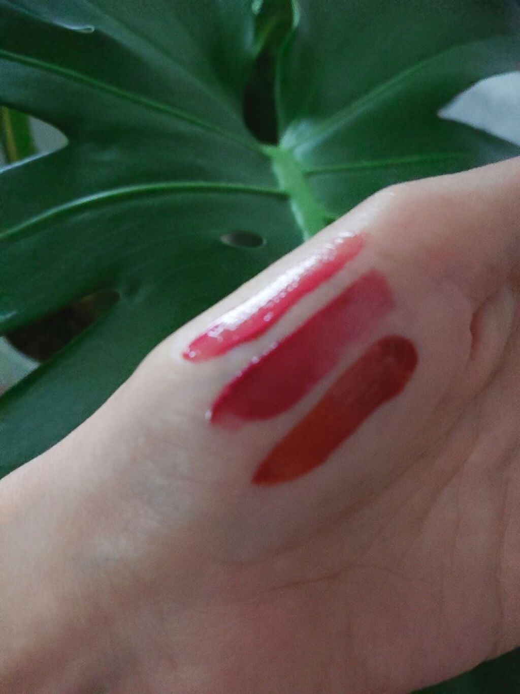 ウォータリーティントリップ/CEZANNE/リップティントを使ったクチコミ(2枚目)