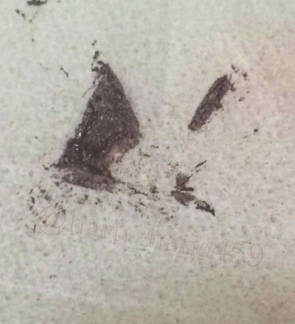 パワフルカール マスカラ EX (ロング) BR300 ブラウン/FASIO/マスカラを使ったクチコミ(2枚目)