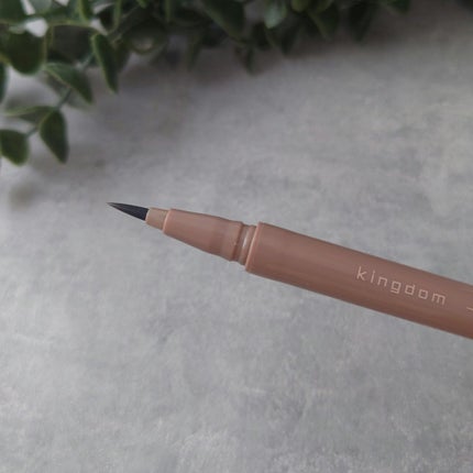 キングダム リキッドアイライナーR1/キングダム/リキッドアイライナーを使ったクチコミ(3枚目)