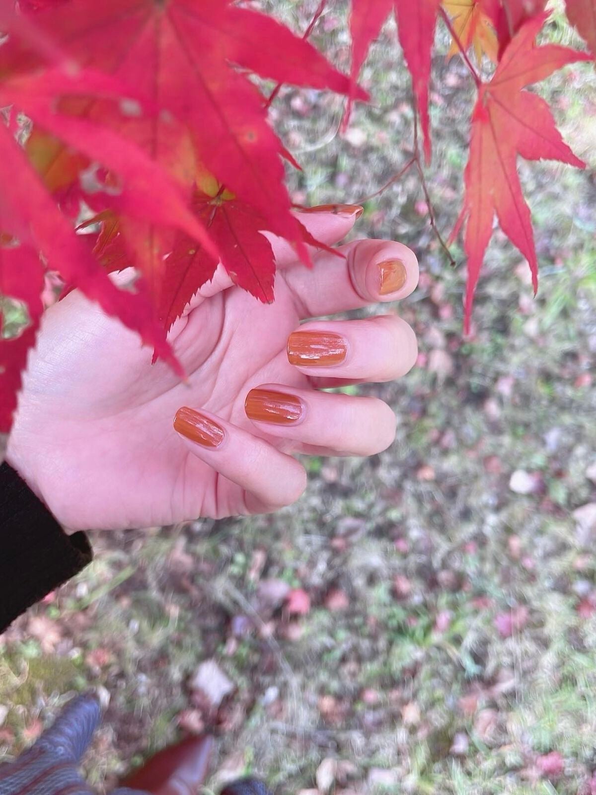 カラフルネイルズ/キャンメイク/マニキュアを使ったクチコミ(1枚目)