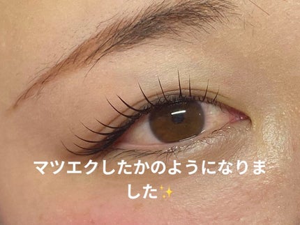ラッシュアディクト アイラッシュコンディショニングセラム/soaddicted/まつげ美容液を使ったクチコミ(4枚目)