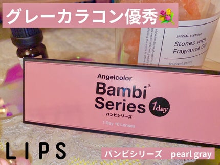 Angelcolor Bambi Series 1day  パールグレー/AngelColor/ワンデー(1DAY)カラコンの画像