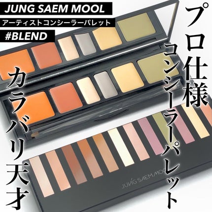 アーティストコンシーラーパレット/JUNG SAEM MOOL/パレットコンシーラーを使ったクチコミ(1枚目)