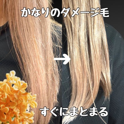 碧 モイストオイル〈金木犀〉/碧(ao)/アウトバストリートメントを使ったクチコミ(4枚目)