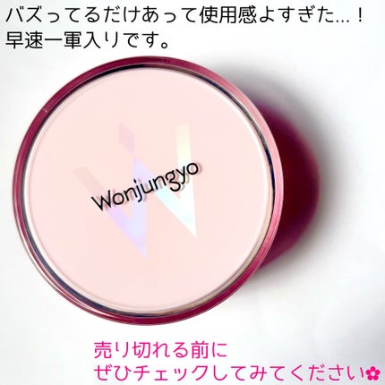 ウォンジョンヨ フィクシングブラーパウダー N/Wonjungyo/ルースパウダーを使ったクチコミ(8枚目)