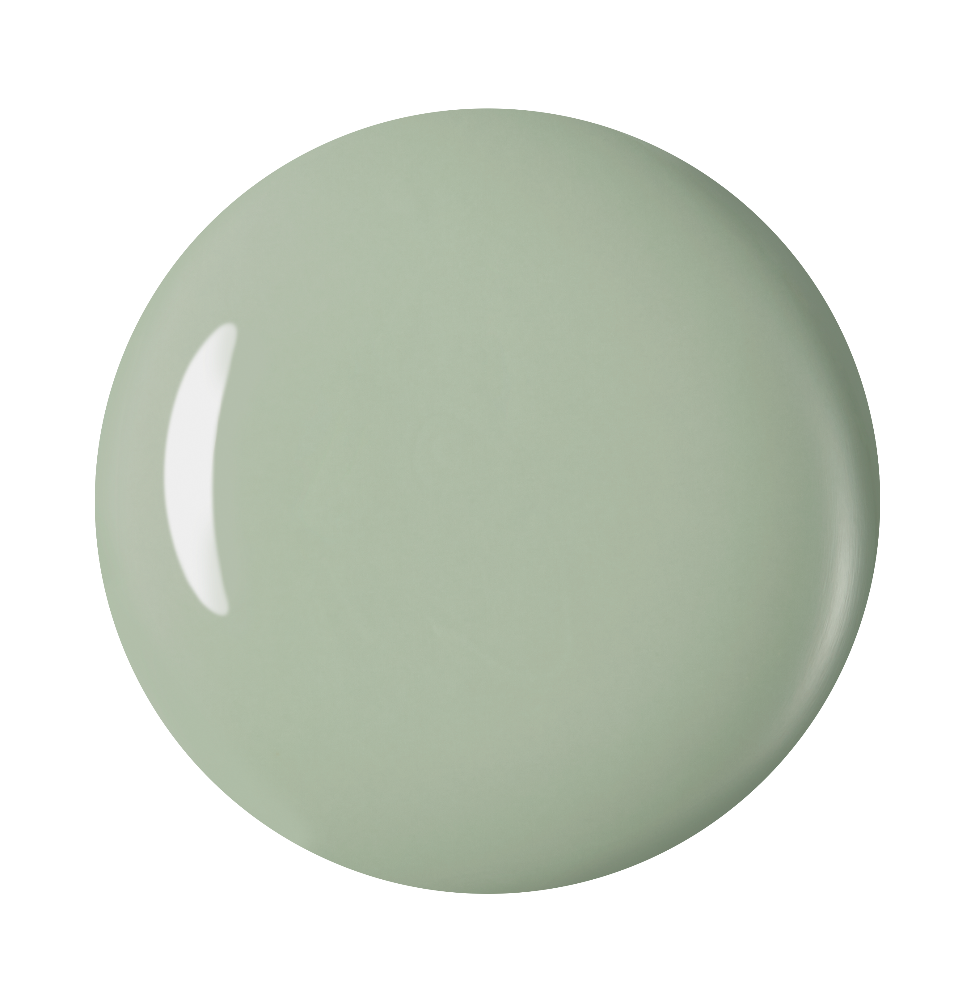 セルヴォーク クレイヴドネイルポリッシュ 11 フォギーミント