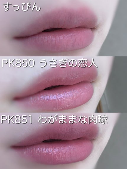 ネンマクフェイク ルージュ/Visée/口紅を使ったクチコミ(4枚目)