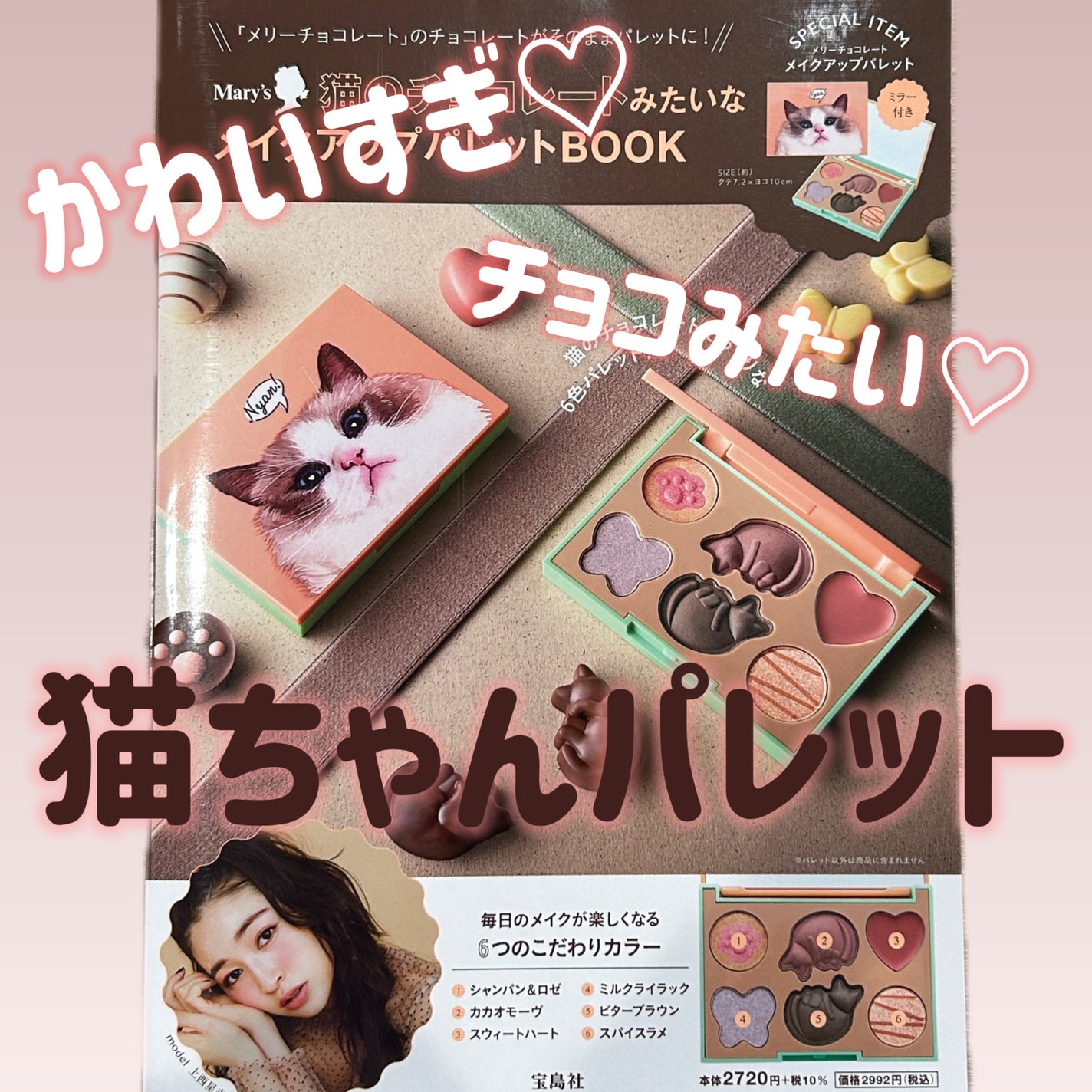 Mary’s 猫のチョコレートみたいなメイクアップパレットBOOK/宝島社/パウダーアイシャドウを使ったクチコミ(1枚目)