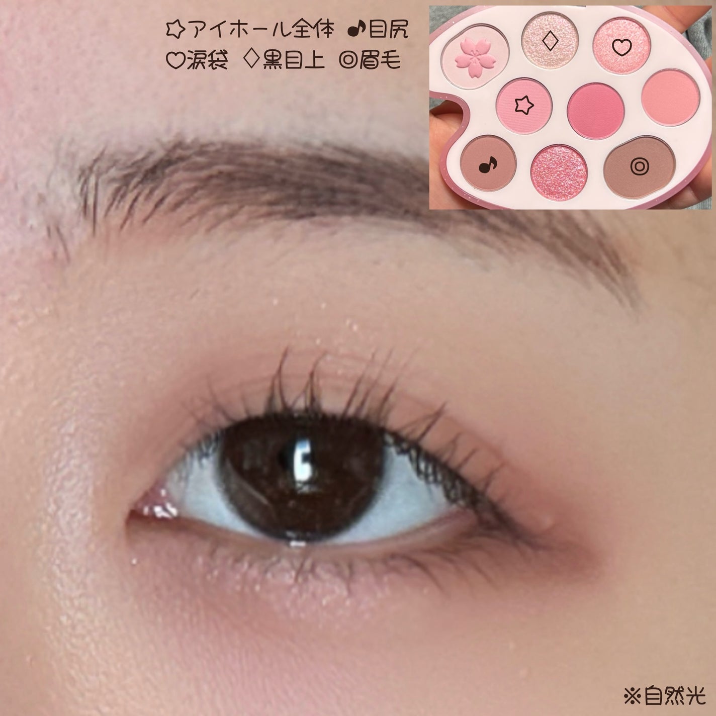 シャドウパレット/dasique/アイシャドウパレットを使ったクチコミ(3枚目)